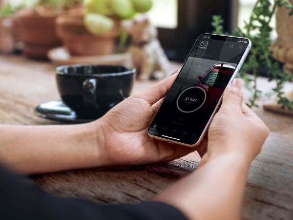 John Lee Mazda in Panama City FL